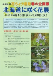 2025春の企画展チラシ表