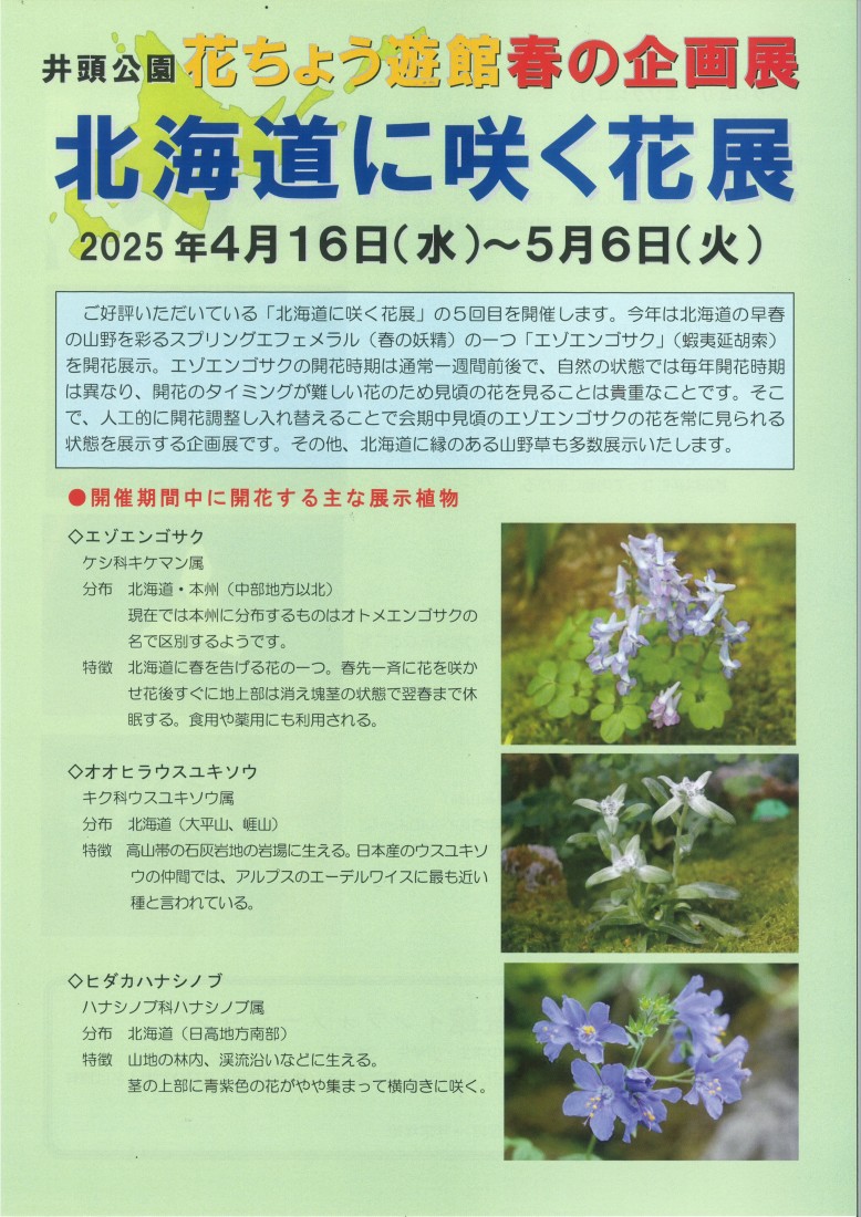 花ちょう遊館　春の企画展～北海道に咲く花展～