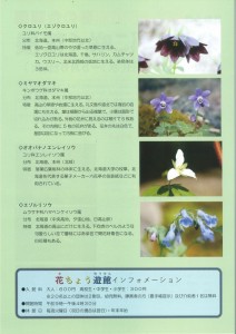 2025春の企画展チラシ裏