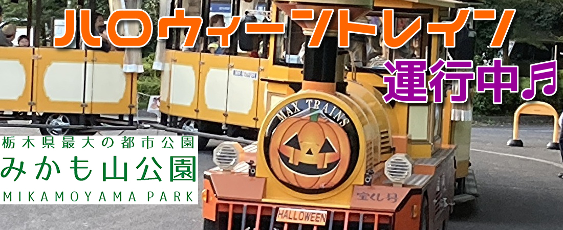 ハロウィーントレイン運行中