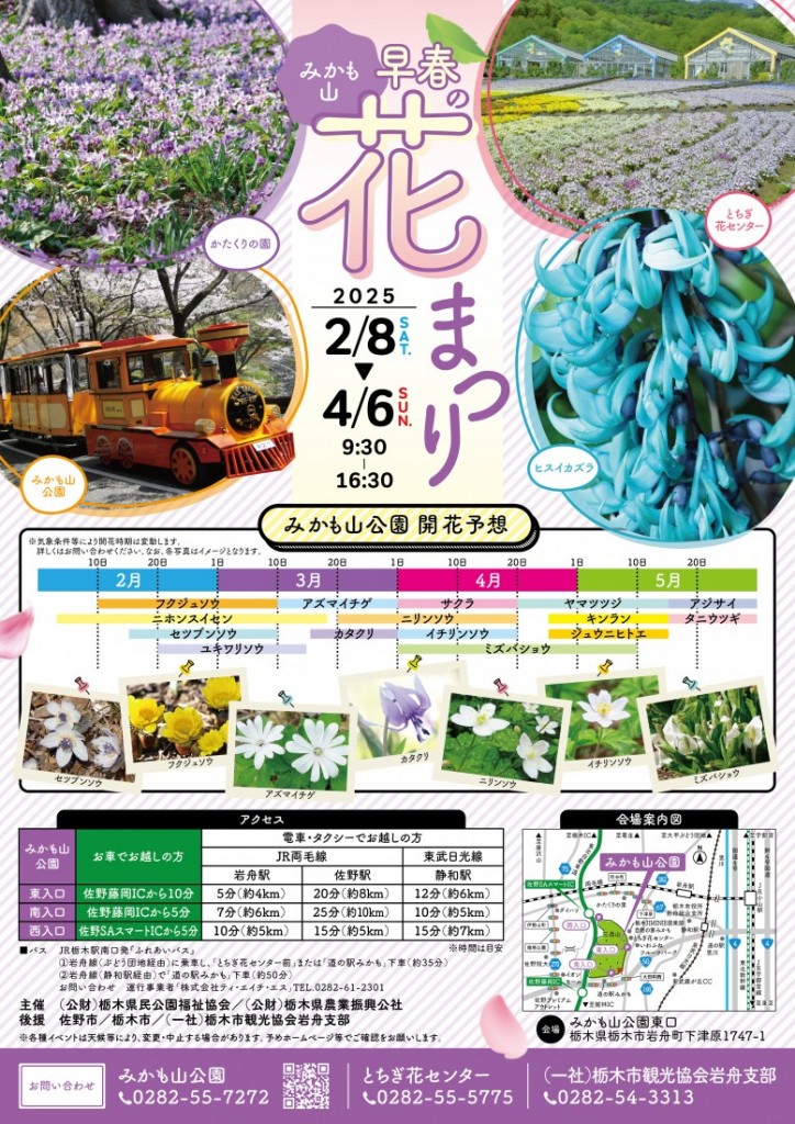 2025みかも山早春の花まつり_omote