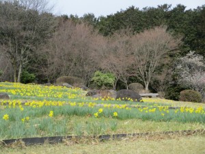 IMG_6022