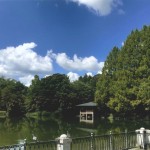 ハトと青空とみどりの公園