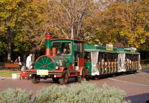 とちぎわんぱく公園秋のピッピ号