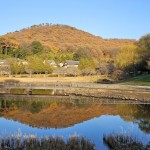 万葉庭園の秋