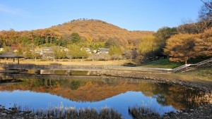 万葉庭園の秋