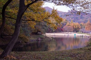 晩秋の一日