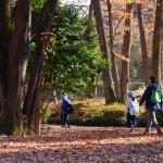 初冬の紅葉