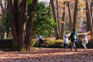 初冬の紅葉